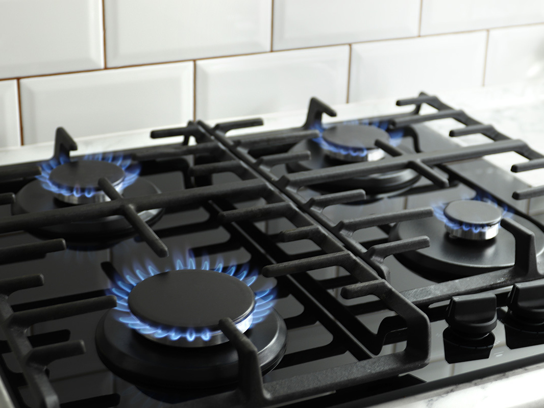 Licensed Gas Fitters
